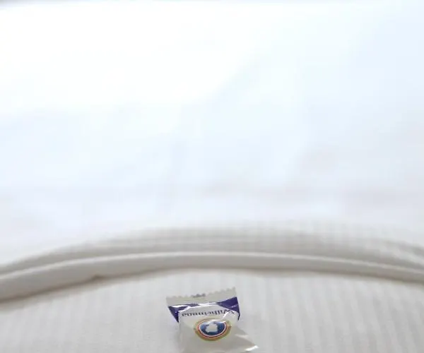 Villa-hotel De Kroon Отель